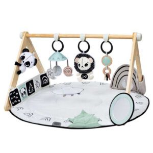 Tiny Love Luxe Babygym Black & White